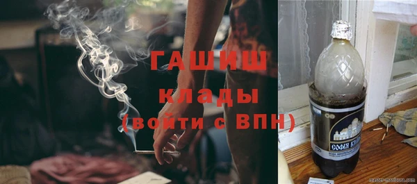 гидра Костерёво