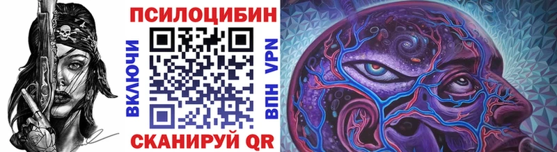 Псилоцибиновые грибы Psilocybe  купить   Мелеуз 
