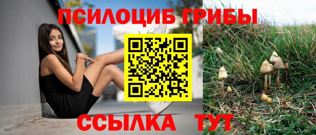Галлюциногенные грибы ЛСД Мелеуз
