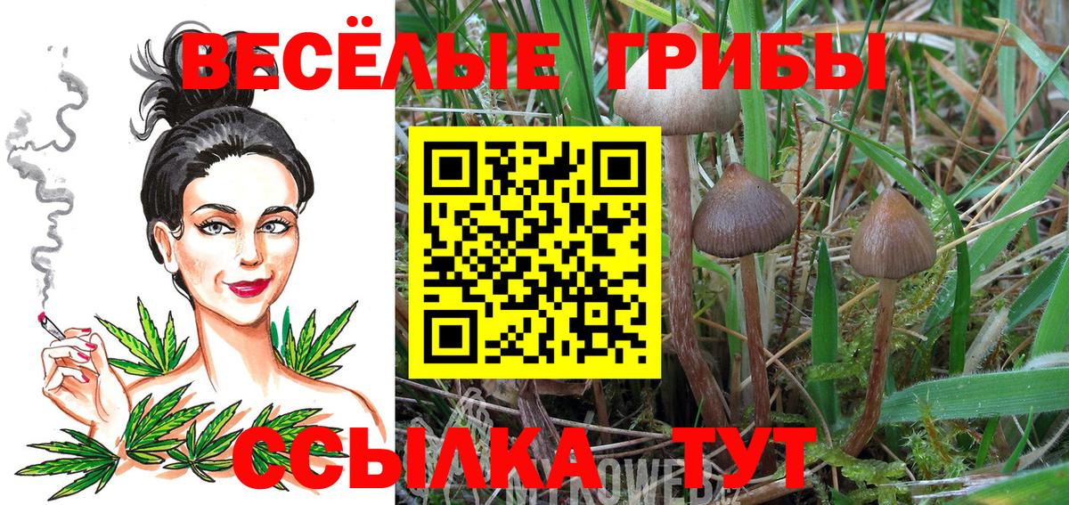 Мелеуз  Галлюциногенные грибы ЛСД  Вход с VPN 